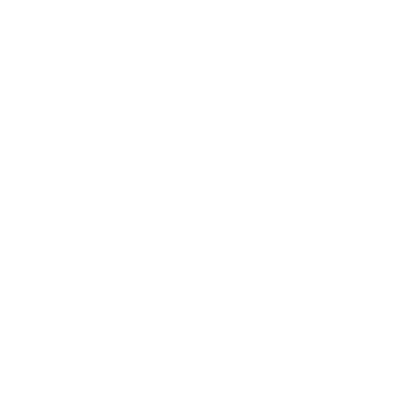 Logo ZaxPeaks blanc